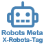  Meta Robots